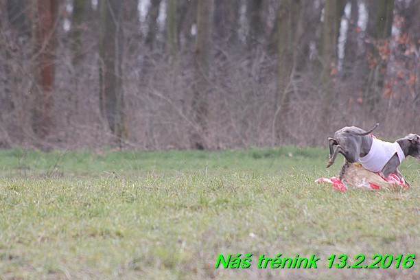 Náš trénink 13.2.2016 (59)