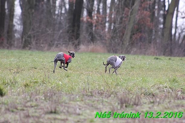 Náš trénink 13.2.2016 (60)