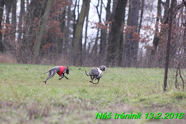 Náš trénink 13.2.2016 (61)