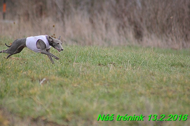 Náš trénink 13.2.2016 (68)