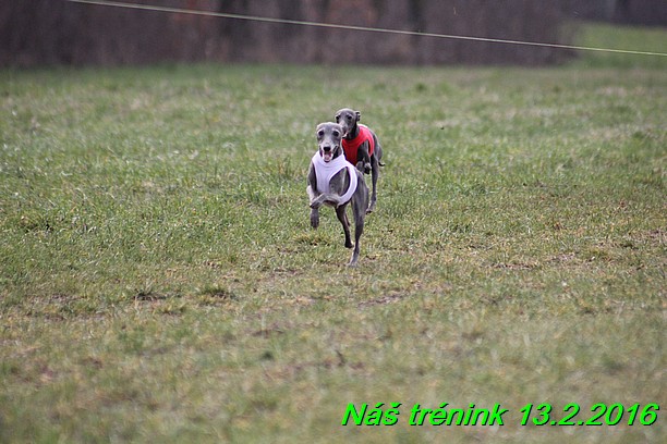 Náš trénink 13.2.2016 (79)