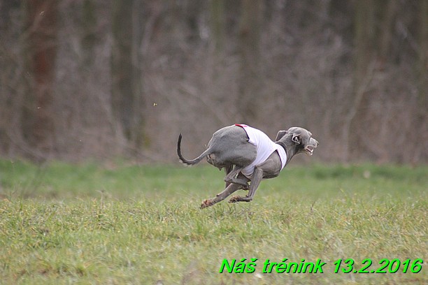 Náš trénink 13.2.2016 (85)