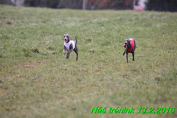 Náš trénink 13.2.2016 (86)