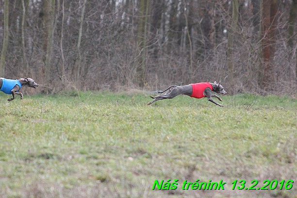 Náš trénink 13.2.2016 (95)