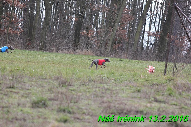 Náš trénink 13.2.2016 (97)