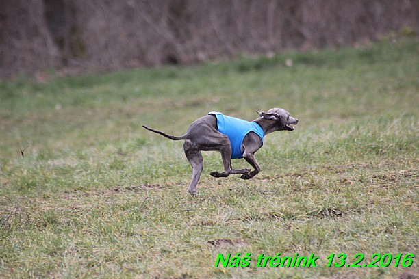 Náš trénink 13.2.2016 (110)