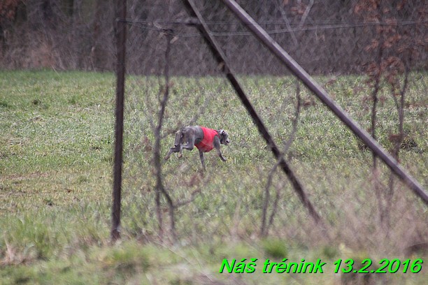 Náš trénink 13.2.2016 (115)