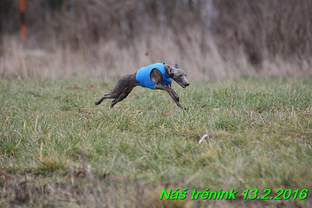 Náš trénink 13.2.2016 (123)