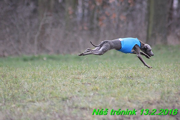 Náš trénink 13.2.2016 (127)