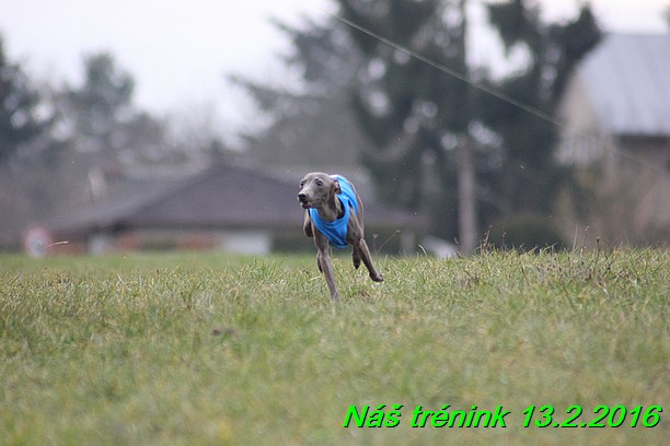 Náš trénink 13.2.2016 (144)