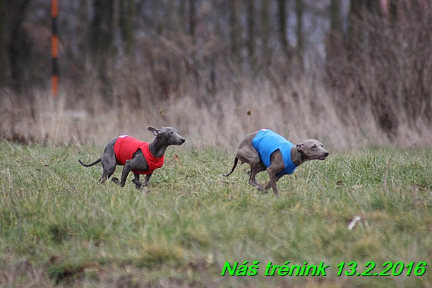 Náš trénink 13.2.2016 (147)