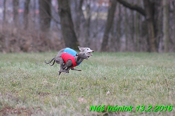 Náš trénink 13.2.2016 (189)