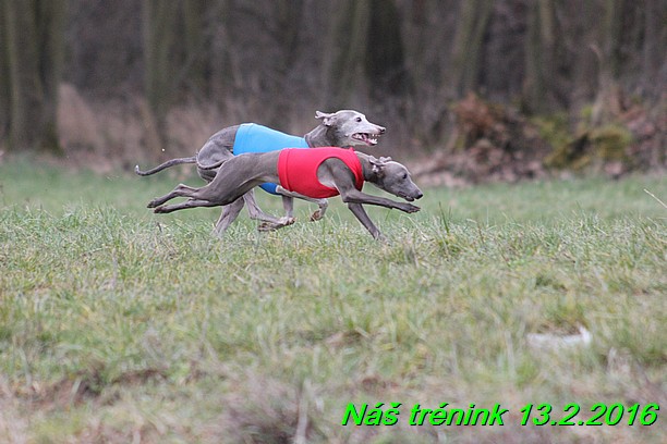 Náš trénink 13.2.2016 (191)