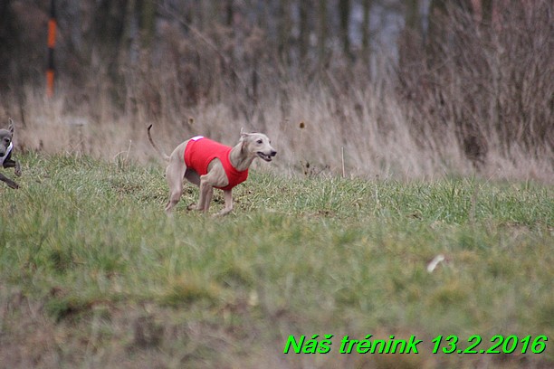 Náš trénink 13.2.2016 (214)