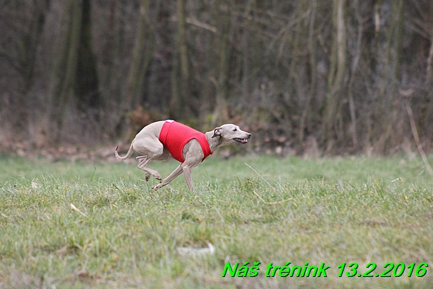 Náš trénink 13.2.2016 (236)