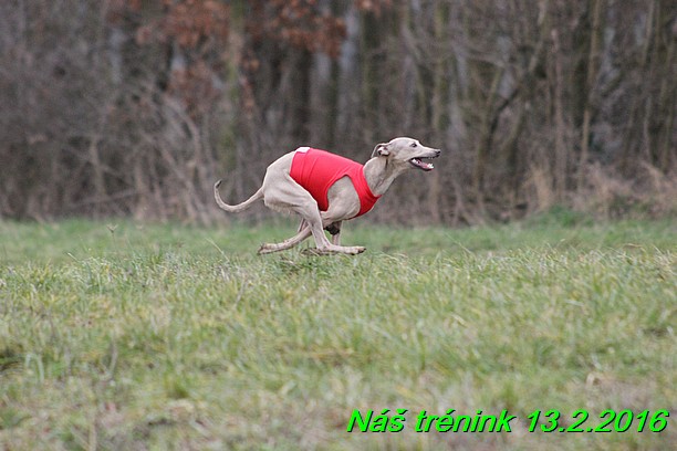 Náš trénink 13.2.2016 (237)