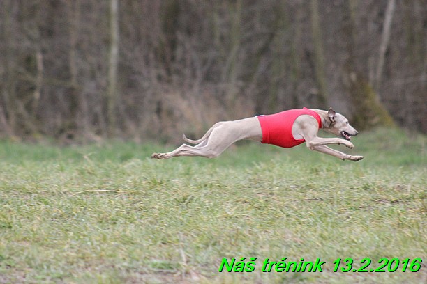 Náš trénink 13.2.2016 (240)