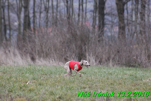 Náš trénink 13.2.2016 (245)