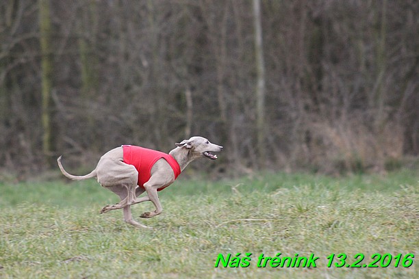 Náš trénink 13.2.2016 (247)