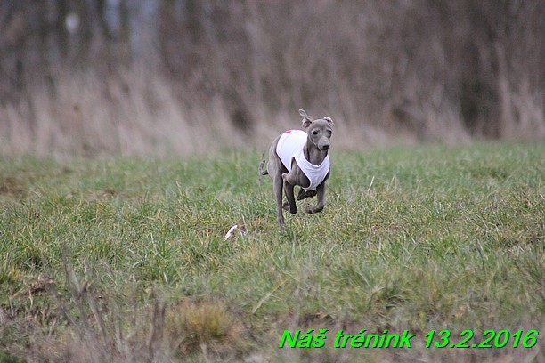 Náš trénink 13.2.2016 (263)