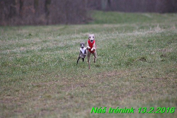 Náš trénink 13.2.2016 (259)