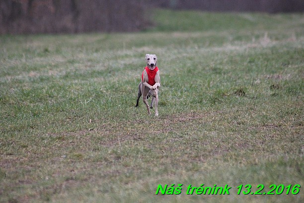 Náš trénink 13.2.2016 (260)