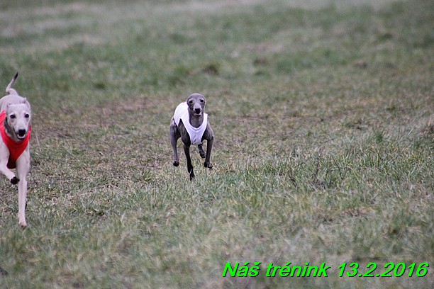 Náš trénink 13.2.2016 (261)