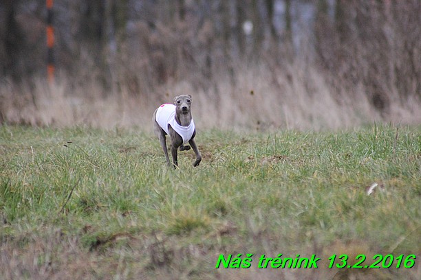Náš trénink 13.2.2016 (262)