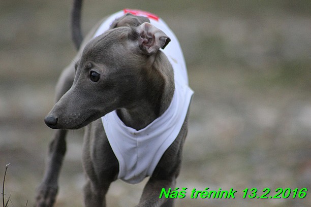Náš trénink 13.2.2016 (265)