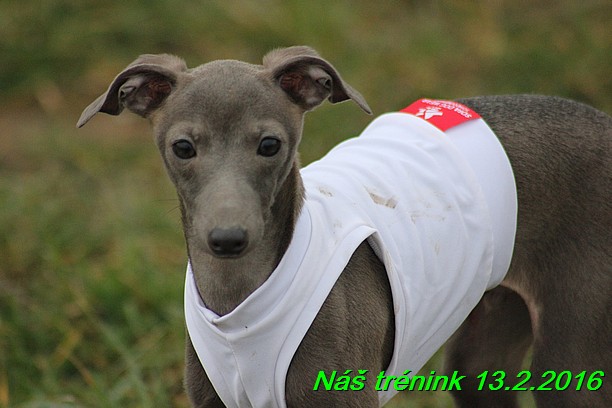 Náš trénink 13.2.2016 (266)