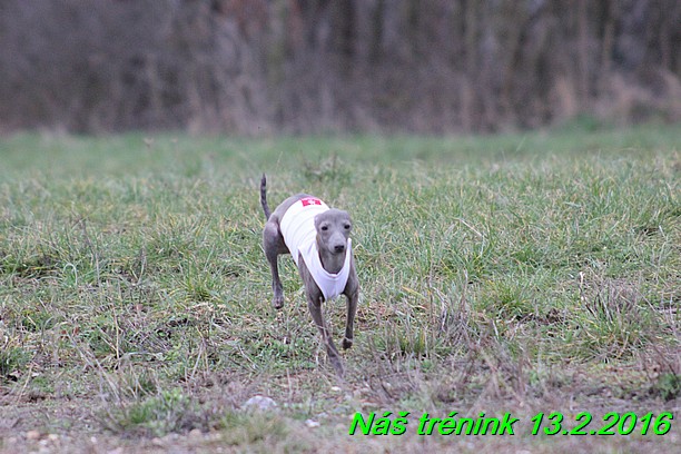 Náš trénink 13.2.2016 (269)