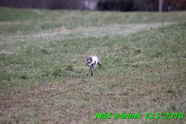Náš trénink 13.2.2016 (228)
