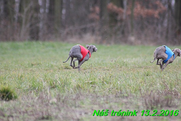 Náš trénink 13.2.2016 (151)