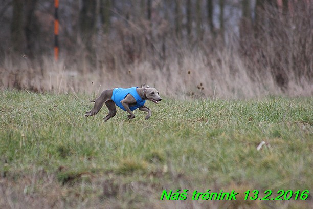 Náš trénink 13.2.2016 (168)