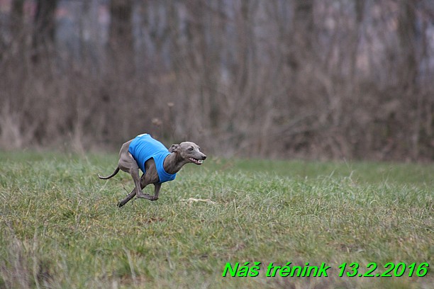 Náš trénink 13.2.2016 (169)