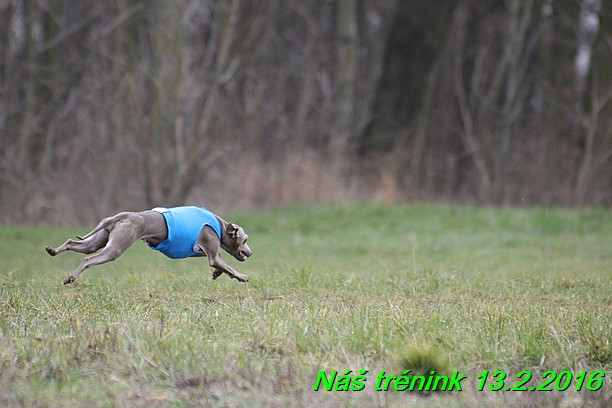 Náš trénink 13.2.2016 (175)