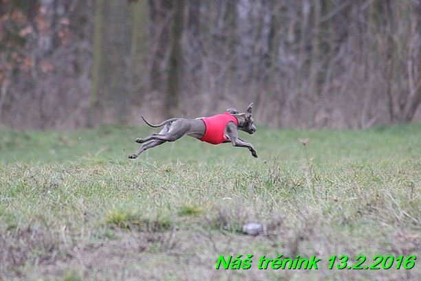 Náš trénink 13.2.2016 (176)