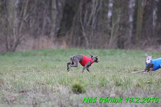 Náš trénink 13.2.2016 (177)