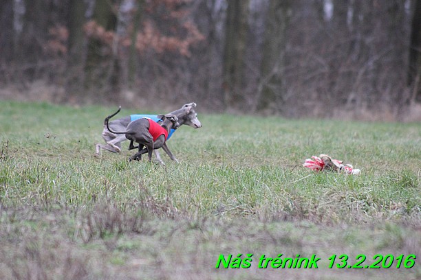 Náš trénink 13.2.2016 (178)