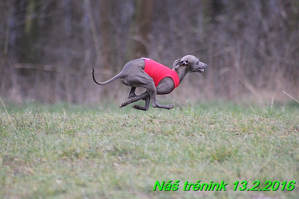 Náš trénink 13.2.2016 (183)