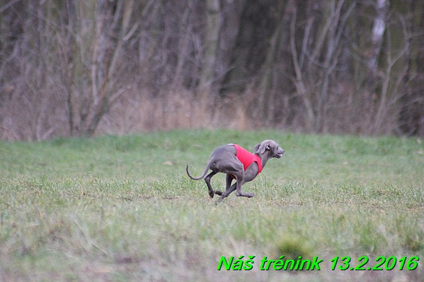 Náš trénink 13.2.2016 (186)