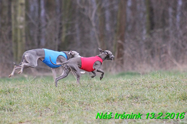 Náš trénink 13.2.2016 (197)