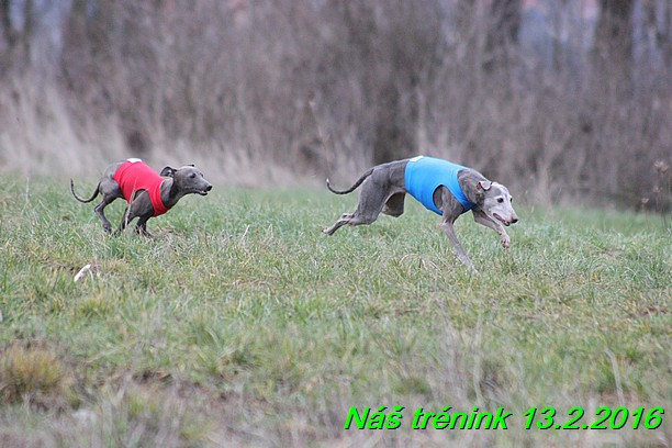 Náš trénink 13.2.2016 (202)