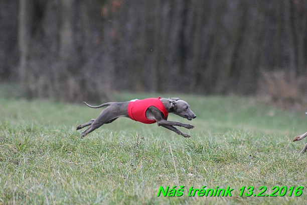 Náš trénink 13.2.2016 (203)