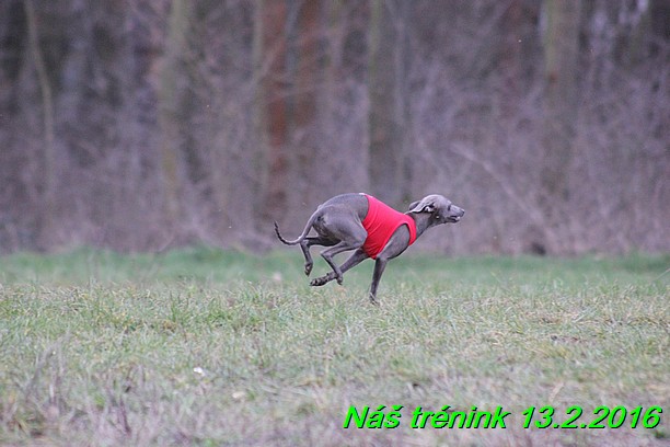 Náš trénink 13.2.2016 (209)