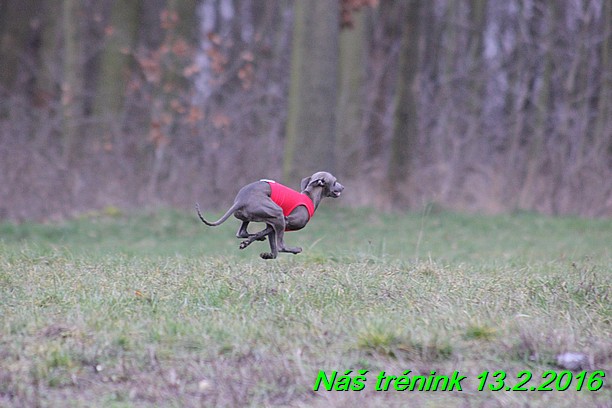 Náš trénink 13.2.2016 (210)