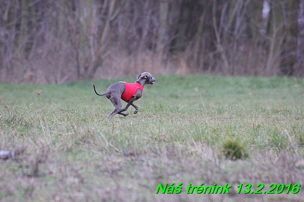 Náš trénink 13.2.2016 (211)