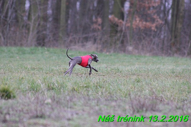 Náš trénink 13.2.2016 (212)