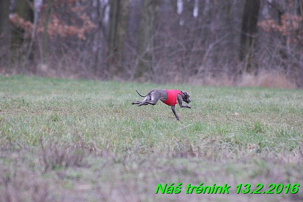 Náš trénink 13.2.2016 (213)