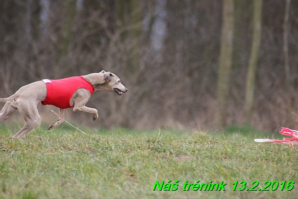 Náš trénink 13.2.2016 (221)